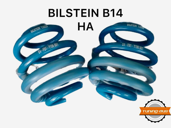 Bilstein B14 HA Ersatzfedern (Set 2 STK.) T5-T6.1 E4-FD1-Y196 B01 (ersetzt alte Kennzeichnung B00)